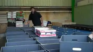 FruitMe Packing