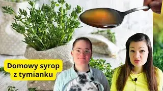 🍃Najlepszy domowy syrop na kaszel suchy i mokry z tymianku, cebuli i miodu. Podajemy prosty przepis