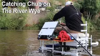 Chub on the River Wye