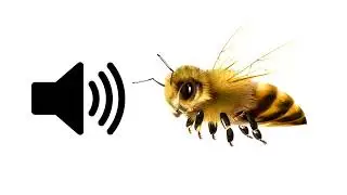 Bee Buzzing - Sound Effect | ProSounds