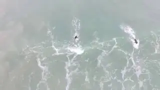 Surfing Long Beach, Robe