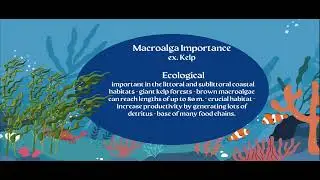 AICE Marine Science Topic 4: Marine Plants