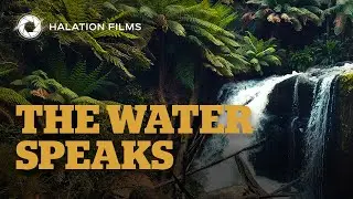 The Water Speaks | Cinematic Nature Film