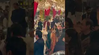 Luxury Pakistan Wedding Show | Book NS Chauhan for Elite Weddings 2026
