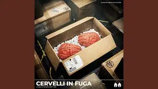 Una Regola (feat. Davide Bava)