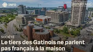 2 Gatinois sur 3 parlent uniquement français à la maison