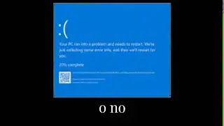 Windows error sanctuary guardian meme