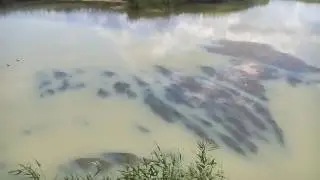 Ея побелела.
