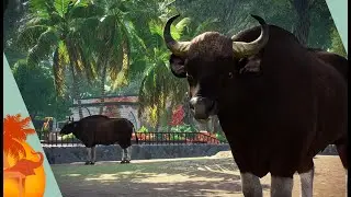 Return to India | Tharmachati Zoo [Planet Zoo Collaboration] 20