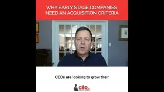 Why early stage companies need an acquisition criteria.mp4