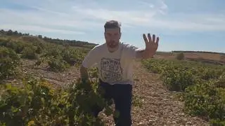 Tutorial de como se vendimia