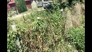 DELIRUL CRIMINAL IN FATA ECHIPAJULUI DE POLITIE CONTINUA cu jigniri,denograre,victimizare deliranta