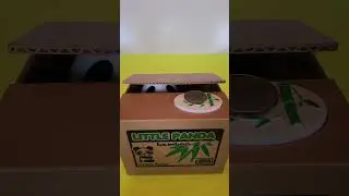 🐼 LITTLE KITTY BOX 📦 COIN 🪙 BANK!!