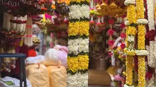 Elegant Toran, Garlands & Event Decor | Perfect for Weddings, Pooja & Festive Spaces