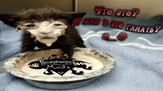 Не до гайд по uncompromising mode ( Dont starve together )