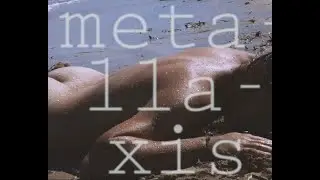 METALLAXIS / video art