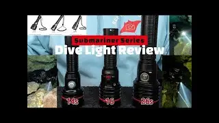 Are these Budget Dive Lights Actually Worth It?