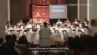 Palestrina: Magnificat - Collegium Vocale Seoul (콜레기움 보칼레 서울)