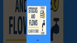 Stocks and Flows | Class 12 Economics | CBSE Chapter 2