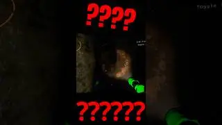 What Are These Loot Bugs Doing