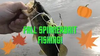 Spinnerbait Fishing for FALL BASS! Best Lure for the Fall Transition?