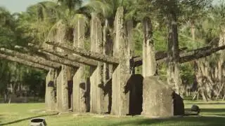 THE FAIRCHILD | Recorrido