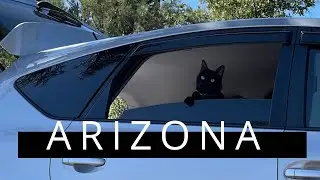 Solo Female Travel l PRIUS Car Camping l Traveling Cat l Arizona Road Trip l Story No. 2