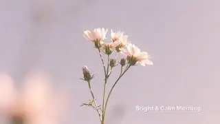 Bright Polished Pop R&B ☀️