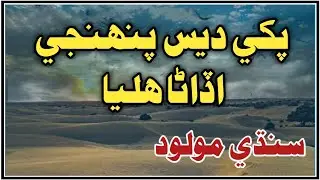 Molood Sharif Pakhi dais pahinjy پکي ديس پنهنجي اڏاڻا هليا sindhi moludh