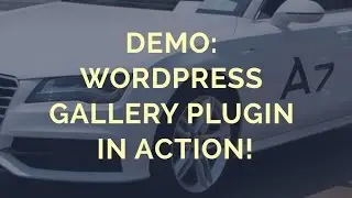 Demo: Wordpress Gallery Plugin in Action!