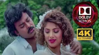 Megastar chiranjeevi as  కౌబాయ్  కొదమ సింహం Movie Facts|Radha|chiranjeevi|Sonam