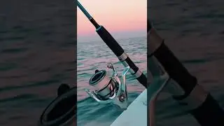 FISHING SET UP / FISHING REELS / FISHING ROD / FISHING LINE @althomschannel #fishingadventure