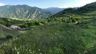 Eagles fly in Mountain Armenia  Орлы в горах Армении #Shorts