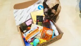 MY CAT'S FIRST SUBSCRIPTION BOX! Kitnipbox unboxing review
