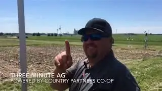 Questions at the answer plot part I
