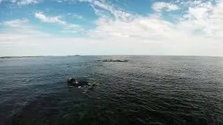 Aerial View of an Ocean