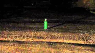 Bottle 