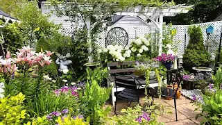 END OF JULY RELAXING TINY BACKYARD GARDEN TOUR #garden #gardening #gardentour #relaxing  #flowers