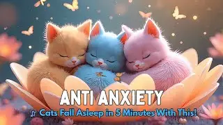 Calming Piano Cat Music for Deep Relaxation and Emotional Comfort