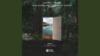 A New You (Mass Digital Remix)