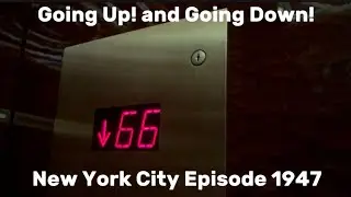 Elinor and Friends at Top Of The Rock Elevator Going Up and Down New York City Episode 1947