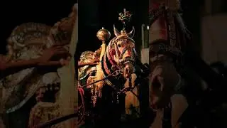 Zuljanha #karbala #yaali #ns #islamicpreacher #ns2024