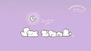 【LiluLilu Music】Moonlight Cat Café 🌙 25min Lo-fi Music for Sleep & Pet Relaxation | Cozy Night Vibes