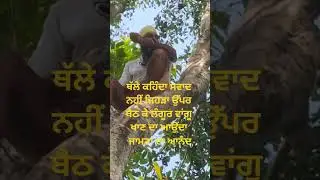 rut pyar di Sidhu MooseWala