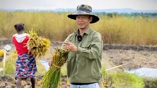 LINH PHILIP LO SỐT V&Oacute; KHI L&Uacute;A BỊ Đ&Agrave;N G&Agrave; L&Ocirc;I PH&Aacute; V&Agrave; TR&Acirc;N TRỌNG TỪNG C&Acirc;Y L&Uacute;A TINH THẦN ĐẦY TR&Aacute;CH NHIỆM
