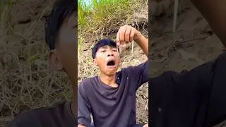 Survival skill: water purification in the wild#camping#survival#outdoors#bushcraft#shorts #4406 🪱🌱🤑🤯