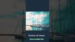 Filistindı Hal Sebeno (Zazaca) #ilahi #keşfet #shorts