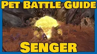 Asche wird fallen | Haustierkampf Guide