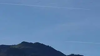 Paloma torcaz pase hernani ziku&ntilde;aga Guip&uacute;zcoa 30 octubre 2025 impresionante el pase.