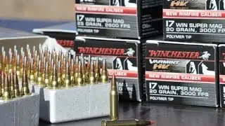 Winchester Ammunition new products for 2013